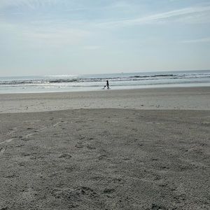 Meet your Posher, Mimi